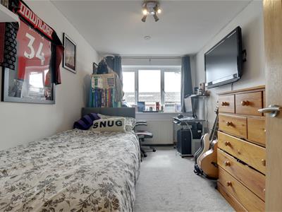 Picture 5